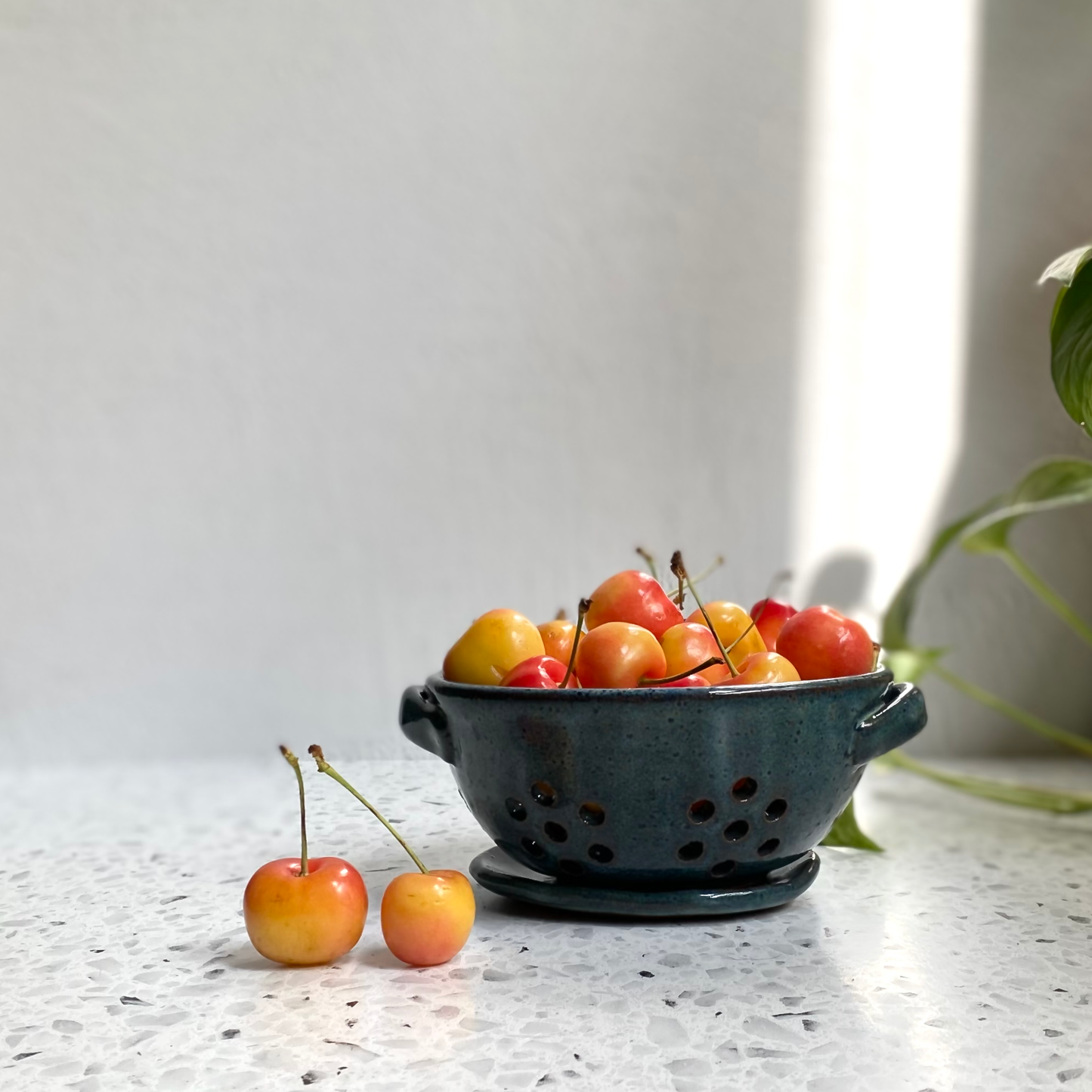 The Berry Bowl