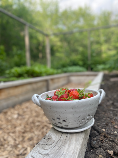 The Berry Bowl